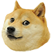 :doge